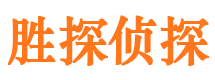 宁河侦探公司